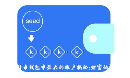 比特币钱包中最大的账户揭秘：财富的背后