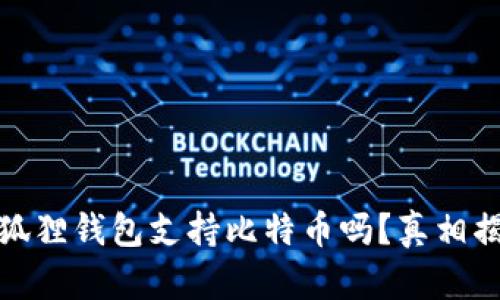 小狐狸钱包支持比特币吗？真相揭秘