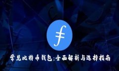 常见比特币钱包：全面解析与选择指南