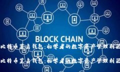 比特币菜鸟钱包：初学者的数字资产管理利器比