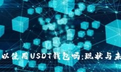 国内可以使用USDT钱包吗：现状与未来展望