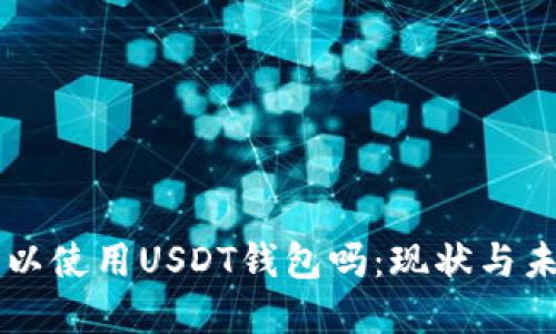 国内可以使用USDT钱包吗：现状与未来展望