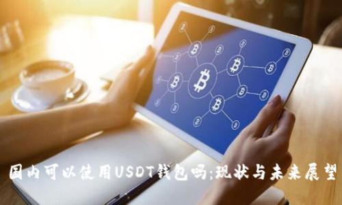 国内可以使用USDT钱包吗：现状与未来展望