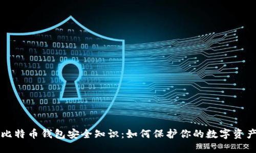 比特币钱包安全知识：如何保护你的数字资产