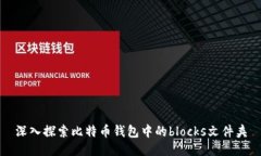 深入探索比特币钱包中的blocks文件夹