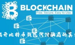 揭开比特币钱包代付骗局的真相