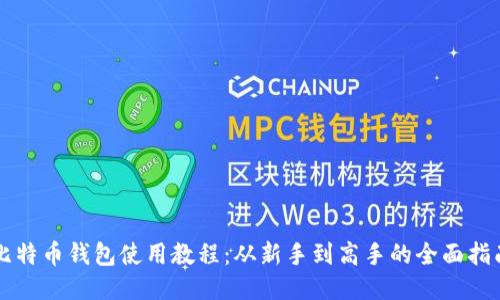比特币钱包使用教程：从新手到高手的全面指南