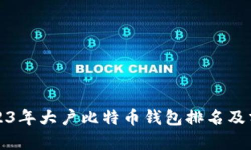 2023年大户比特币钱包排名及分析