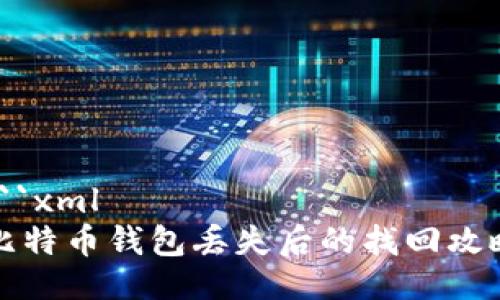 ```xml
比特币钱包丢失后的找回攻略