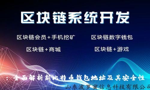 : 全面解析新比特币钱包地址及其安全性