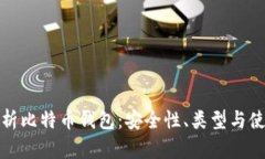 全面解析比特币钱包：安全性、类型与使用技巧