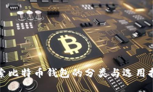 探索比特币钱包的分类与选用指南