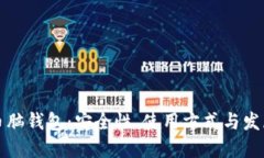 比特币脑钱包：安全性、使用方式与发展趋势