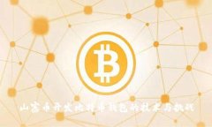 山寨币开发比特币钱包的技术与挑战