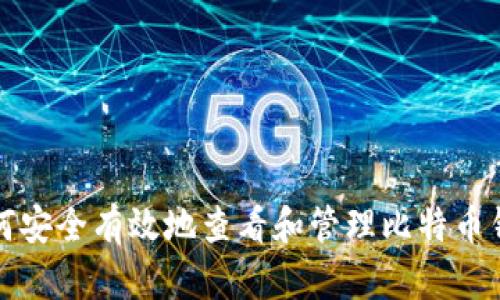 如何安全有效地查看和管理比特币钱包