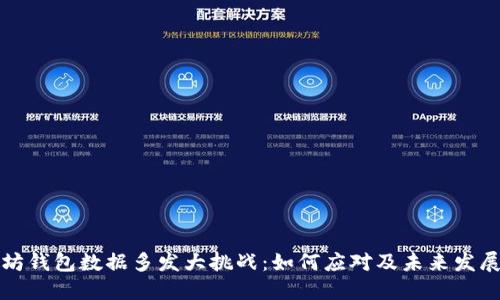 以太坊钱包数据多发大挑战：如何应对及未来发展趋势
