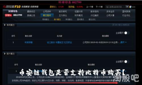 币安链钱包是否支持比特币购买？