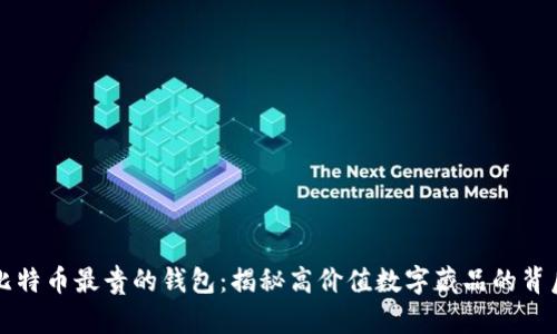 比特币最贵的钱包：揭秘高价值数字藏品的背后