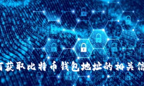 如何获取比特币钱包地址的相关信息？