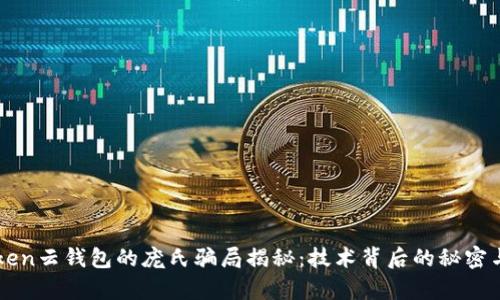 Cloud Token云钱包的庞氏骗局揭秘：技术背后的秘密与风险分析