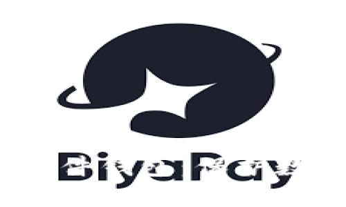 深入探索NEAR硬件钱包：保护数字资产的新纪元