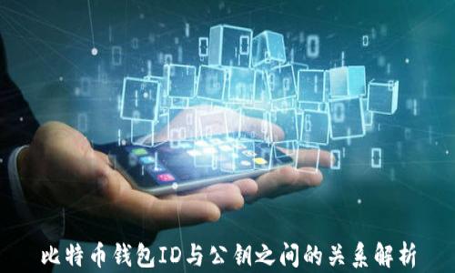 
比特币钱包ID与公钥之间的关系解析