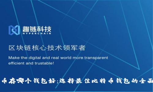 比特币存哪个钱包好：选择最佳比特币钱包的全面指南