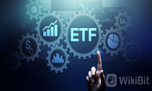 

比特币钱包类型解析：选择最适合你的版本