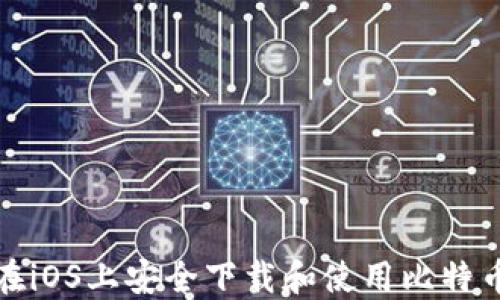 
如何在iOS上安全下载和使用比特币钱包