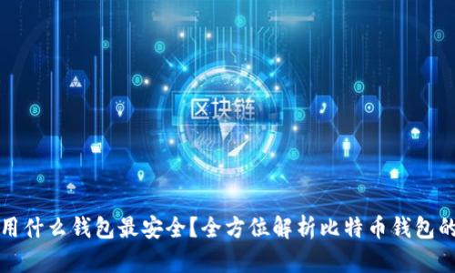 比特币用什么钱包最安全？全方位解析比特币钱包的安全性