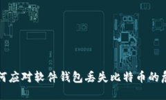 如何应对软件钱包丢失比特币的危机