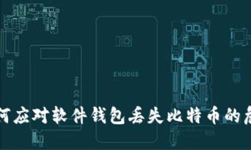 如何应对软件钱包丢失比特币的危机