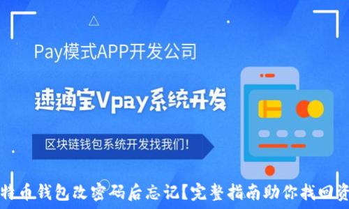   
比特币钱包改密码后忘记？完整指南助你找回资产