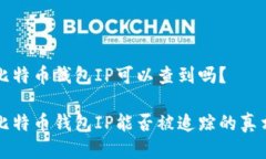 比特币钱包IP可以查到吗？比特币钱包IP能否被追