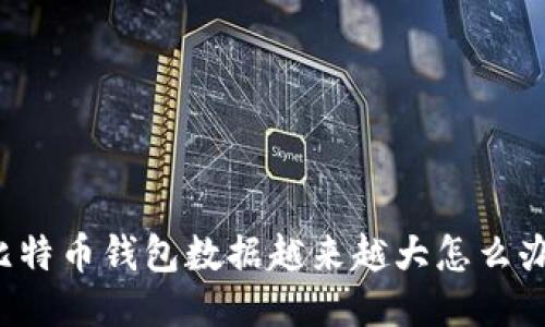 比特币钱包数据越来越大怎么办？