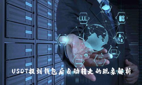 USDT提到钱包后自动转走的现象解析