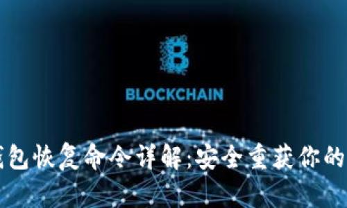 比特币钱包恢复命令详解：安全重获你的加密资产