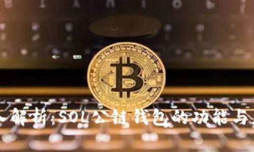 深入解析：SOL公链钱包的功能与应用