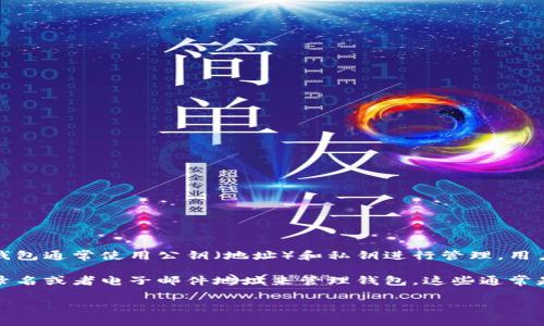 比特币电子钱包一般不需要登录名。与传统银行账户不同，比特币钱包通常使用公钥（地址）和私钥进行管理。用户通过私钥来控制和访问数字资产，而公钥则可以用于接收比特币。

不过，有一些平台或服务可能会要求用户创建账户，并使用一个登录名或者电子邮件地址来管理钱包。这些通常是交易所或托管钱包服务，而不是去中心化的个人钱包。

如果你有任何特定的问题或者需要进一步的信息，请告诉我！