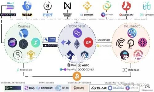 以下是关于如何恢复已删除的TP钱包APP的详细指南。

如何找回删除的TP钱包APP

在现代数字化生活中，钱包应用成为了人们进行交易和管理加密货币的重要工具。然而，意外删除某款钱包应用，如TP钱包，可能会让很多用户感到困扰。别担心，下面将为您详细介绍如何恢复已删除的TP钱包APP。

步骤一：检查手机应用商店

首先，最直接的方法是通过您手机的应用商店来恢复TP钱包APP。无论您是使用Android还是iOS系统，应用商店都是获取和下载应用的主要途径。以下是具体步骤：

1. 打开手机上的“应用商店”。对于Android用户，通常为Google Play商店；对于iOS用户，则为App Store。

2. 在搜索框中输入“TP钱包”或者“TP Wallet”。

3. 找到正确的APP，点击进入其详细信息页面。

4. 如果您已经删除过该应用，您会看到“安装”或“获取”按钮。点击此按钮，系统将自动下载并安装TP钱包APP。

步骤二：从备份中恢复

如果您在删除TP钱包之前曾经对您的手机进行过备份，那么可以通过恢复备份的方式来找回应用。以下是备份恢复的方式：

1. 对于iPhone用户，可以通过iCloud或者iTunes进行备份恢复。进入“设置”，点击“通用”，然后选择“还原”进行恢复操作。

2. 对于Android用户，如果您使用的是安卓系统，可以通过Google Drive或使用手机厂商提供的备份和恢复功能。

3. 注意，恢复备份通常会替代您设备上的当前数据，请确保重要数据已按需备份。

步骤三：使用应用恢复工具

如果以上方法无法帮助您找回TP钱包APP，您可以尝试使用第三方应用恢复工具。这些工具专门用于恢复已删除的应用和数据。在使用此方法时，请确保选择信誉良好的工具，以免造成信息泄露或者数据丢失。

常见的应用恢复工具包括Recuva、EaseUS MobiSaver等。使用步骤通常为：

1. 下载并安装恢复工具。

2. 根据软件的指示，连接您的手机并选择要扫描的设备。

3. 扫描完成后，您可以查看恢复的数据，并选择TP钱包APP进行恢复。

步骤四：联系客服获得帮助

如果上述方法均无法恢复您已删除的TP钱包APP，建议您直接联系TP钱包的客服。提供您遇到的问题及删除日期等信息，客服团队通常能够给您提供建议或解决方案。

通过这些步骤，您应该能够成功恢复已删除的TP钱包APP。为了避免将来的数据丢失，建议定期备份钱包中的重要信息，如私钥和助记词。同时，您也可以考虑使用多设备同步功能，以便在意外情况发生时，能迅速恢复钱包的使用。

总结

恢复已删除的TP钱包APP并不是一件复杂的事情，只需通过应用商店、备份恢复、应用恢复工具，或者直接联系客服，就能够找回您的应用。希望这篇详细的指南能帮助到您，让您的数字资产管理更加便捷安全。

通过这种方式，您不仅能够重新使用TP钱包，还能进一步增强自己在数字货币管理方面的知识和技能。