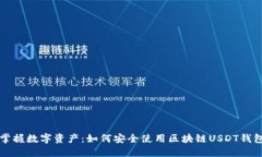 掌握数字资产：如何安全使用区块链USDT钱包