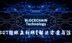 波宝钱包USDT转账未到账？解决方案与注意事项详