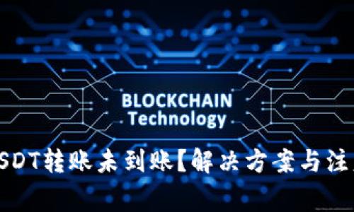 波宝钱包USDT转账未到账？解决方案与注意事项详解