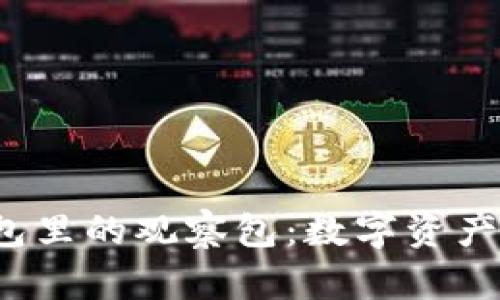 : 揭秘T P钱包里的观察包：数字资产安全的护航者