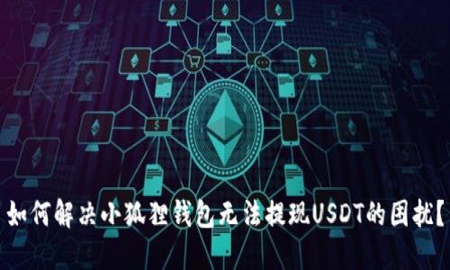 如何解决小狐狸钱包无法提现USDT的困扰？