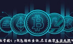   轻松掌握t p钱包转账查询，尽享数字生活无限可