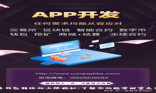 比特币钱包转账的上限揭秘：了解你的数字财富无忧转移