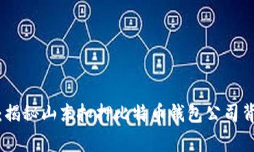 抓住机遇：揭秘山东扣押比特币钱包公司背后的故事