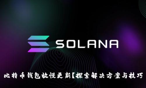 比特币钱包放慢更新？探索解决方案与技巧
