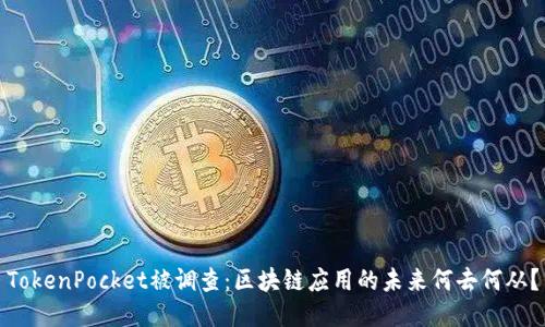 TokenPocket被调查：区块链应用的未来何去何从？